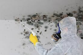 Best Residential Mold Inspection & Testing  in Cookeville, TN